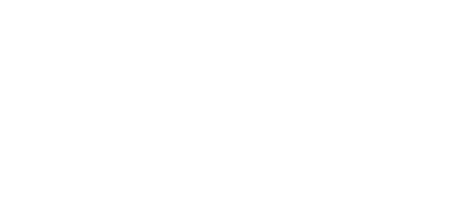 Daila Systems